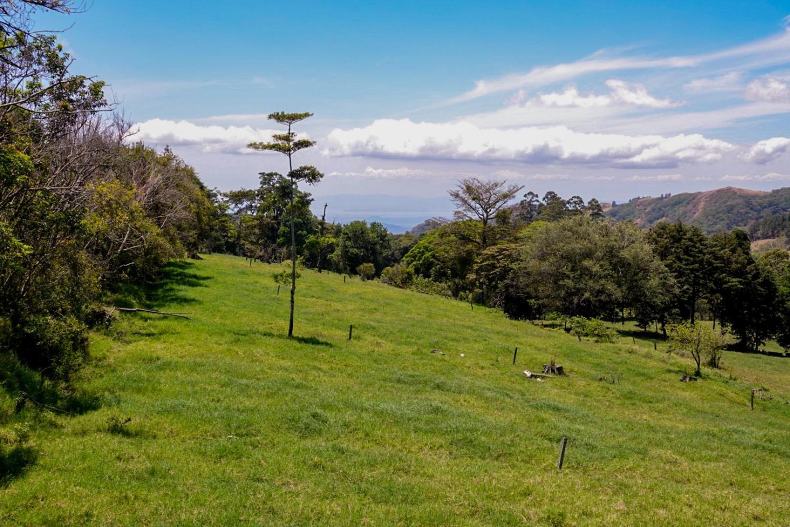 Cabana Indira Monteverde Екстериор снимка